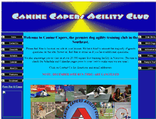 Tablet Screenshot of caninecapersagility.com